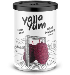 Freeze-Dried Black Mulberry
